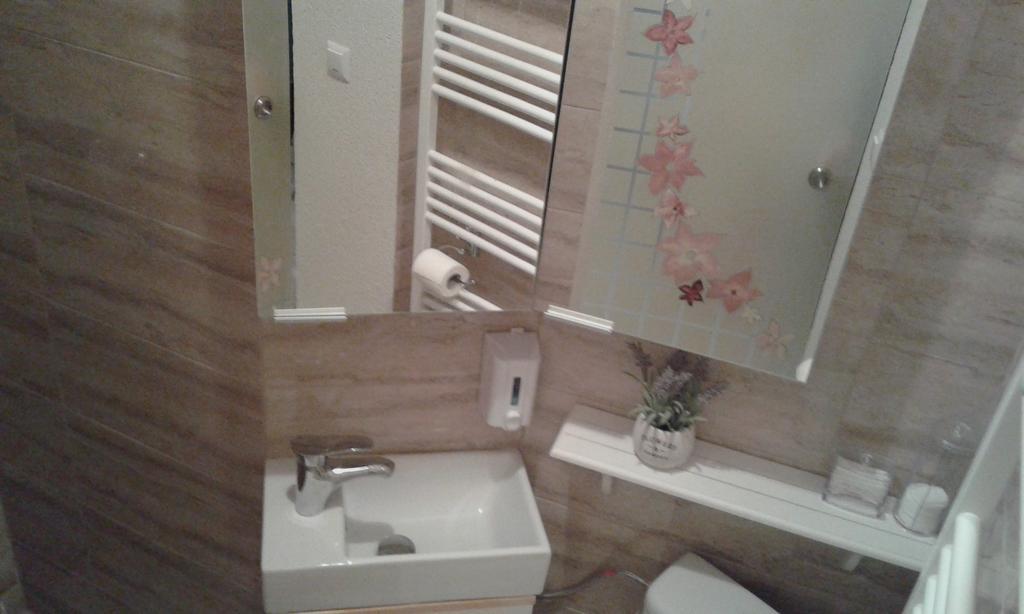 Duplex Alexander Apartman Brassó Kültér fotó